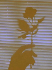 夏天de風