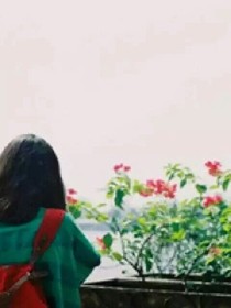 我不再是毛毛虫