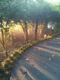 明年初夏再见