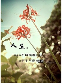 喂！還記得那年山后的映山紅嗎！
