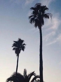 那片星空，那个他