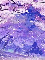 四紅梅繞青春年