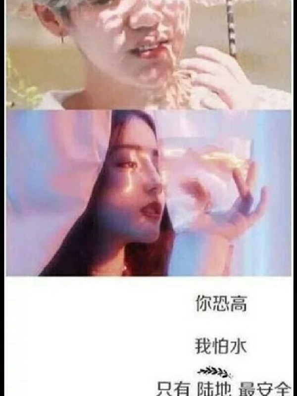 陆地*恋爱*日记