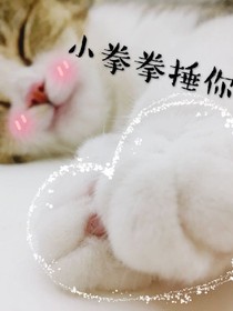 繁花十里温如初