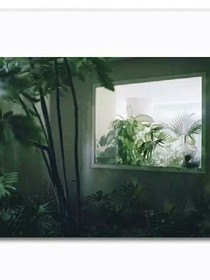 不同的life