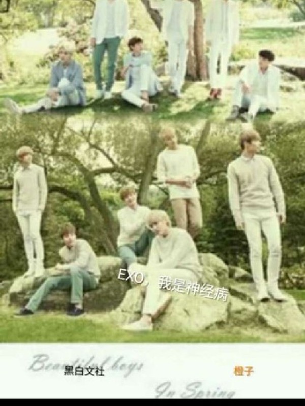 EXO,我是神经病