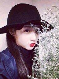 tfboys之林沐的复仇