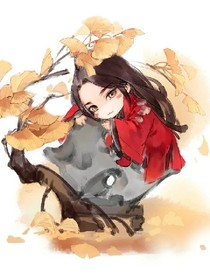 皇上，请留步