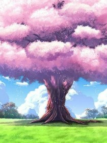 櫻花下的回眸