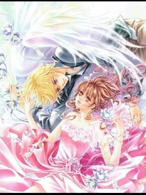 獨(dú)愛專屬未婚妻