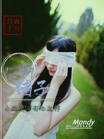 忆柳铺子