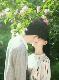 把心寄予一个人，不如寄予一座城