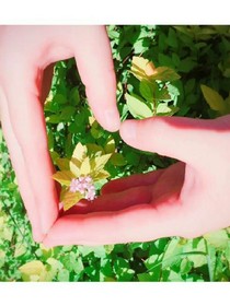 tfboys之半夏微光