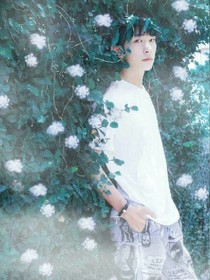 tfboys那年初夏.