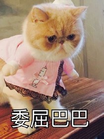 也许最倒霉的人是我吧