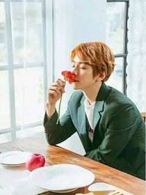 韩娱之星边伯贤