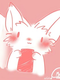 狐王你节操碎啦