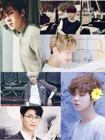 EXO：娱乐法则