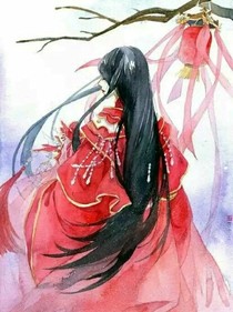 妄忧录
