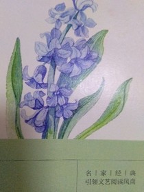 小引