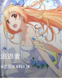 跨越星际追逃妻