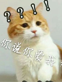 请收养我！