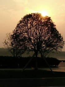 雨后晴阳