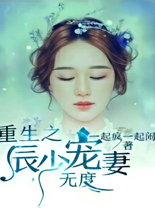 重生之辰少宠妻无度