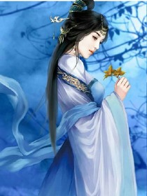 帝女穿越之将军皇后