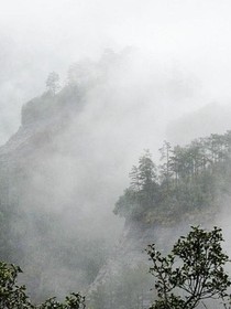 云对雨，鸟对虫