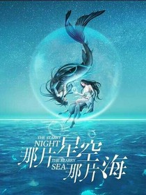 那片星空.那片海.之玲羽岛记