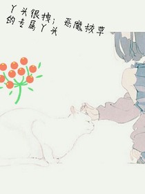 丫头很拽；恶魔校草的专属丫头