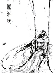 愿君欢