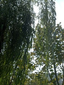 回首不再是少年