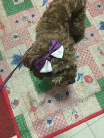 我的前部分人生