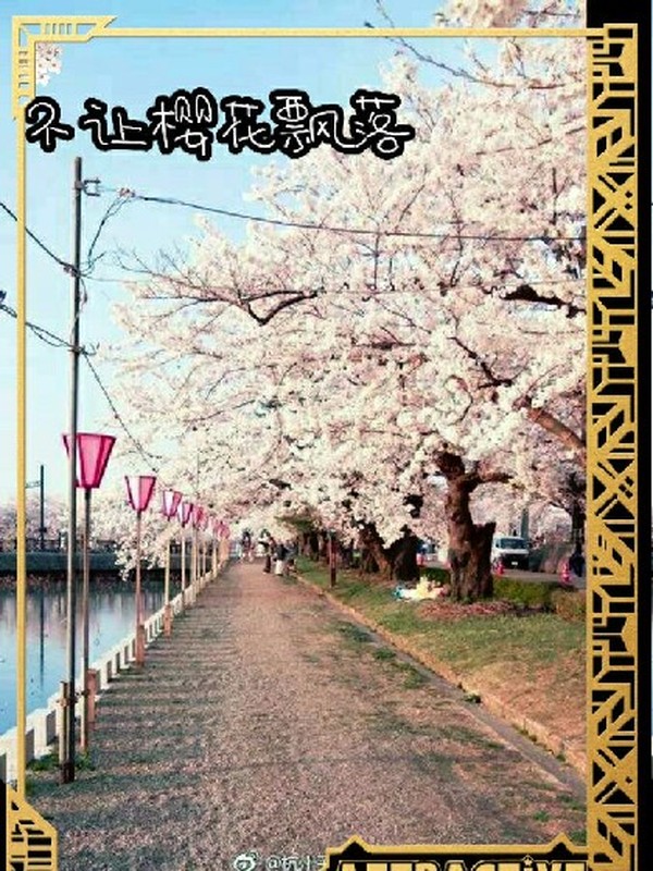 不让樱花飘落