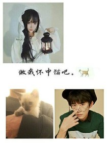 做我怀中猫吧