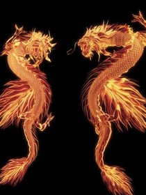万界决