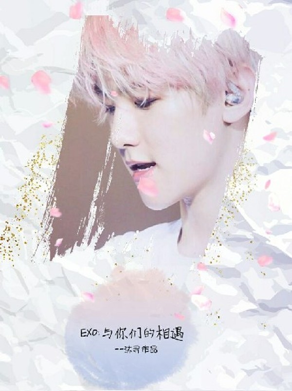 EXO:转身,爱上你