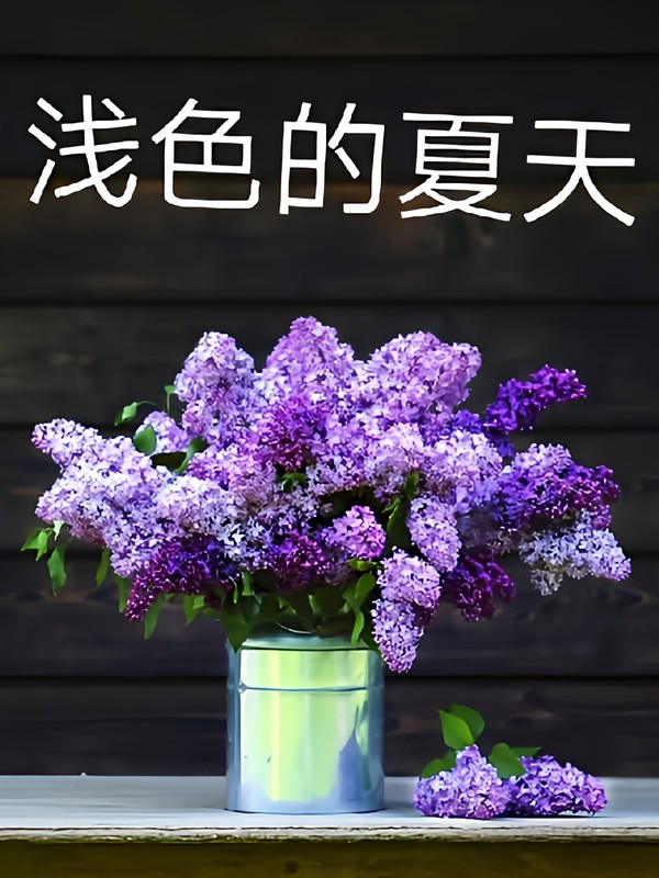 浅色的夏天