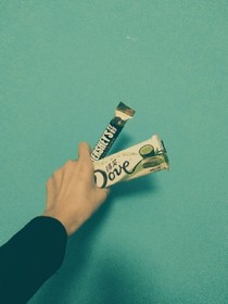 被鸽子淹死的企鹅