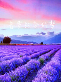普罗旺斯的梦