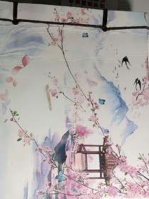 星空傲夜