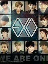 exo之星若灿烂
