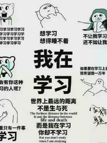 假的学习