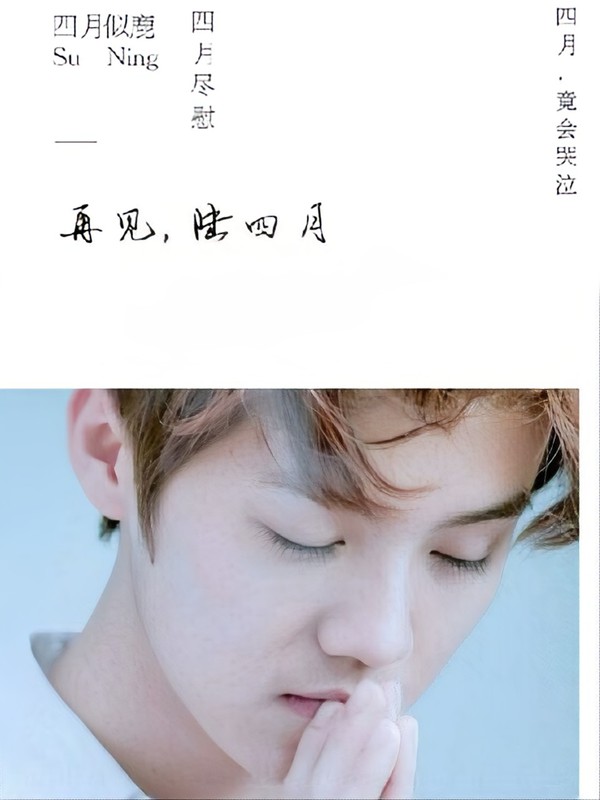 再见,陆四月