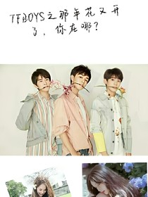 TFBOYS之那年花又開了，你在哪？