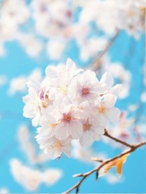 时间悠悠，你还在吗