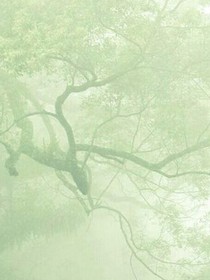 废柴变变态