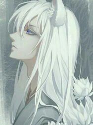 争狐后